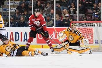 Justin Fazio keeps his eye on the puck in a game against Guelph. Photo by Metcalfe Photography