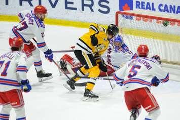 Sarnia Sting against Kitchener Jan 21, 2023. Photo by Metcalfe Photography.
