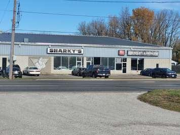 Sharky's Athletic Club on London Line (Blackburn Media Photo  by Stephanie Chaves)