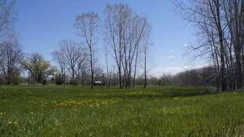 Vacant land at 1597 London Line in Sarnia. 30 April 2021. (BlackburnNews.com photo)