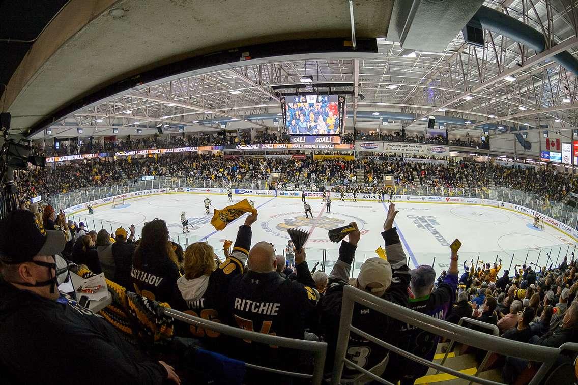 Fans at PASA celebrate a goal against the London Knights - May 3/23 (Photo courtesy of Metcalfe Photography)