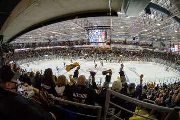 Fans at PASA celebrate a goal against the London Knights - May 3/23 (Photo courtesy of Metcalfe Photography)