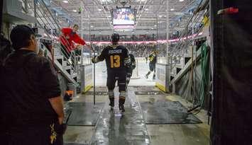 Sarnia Sting home to Sudbury, Jan 18, 2025. Photo by Metcalfe Photography. 