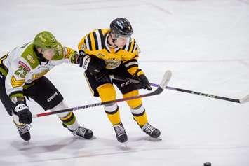 Sarnia Sting host North Bay Battalion, February 25,2024. (Photo by Metcalfe Photography)