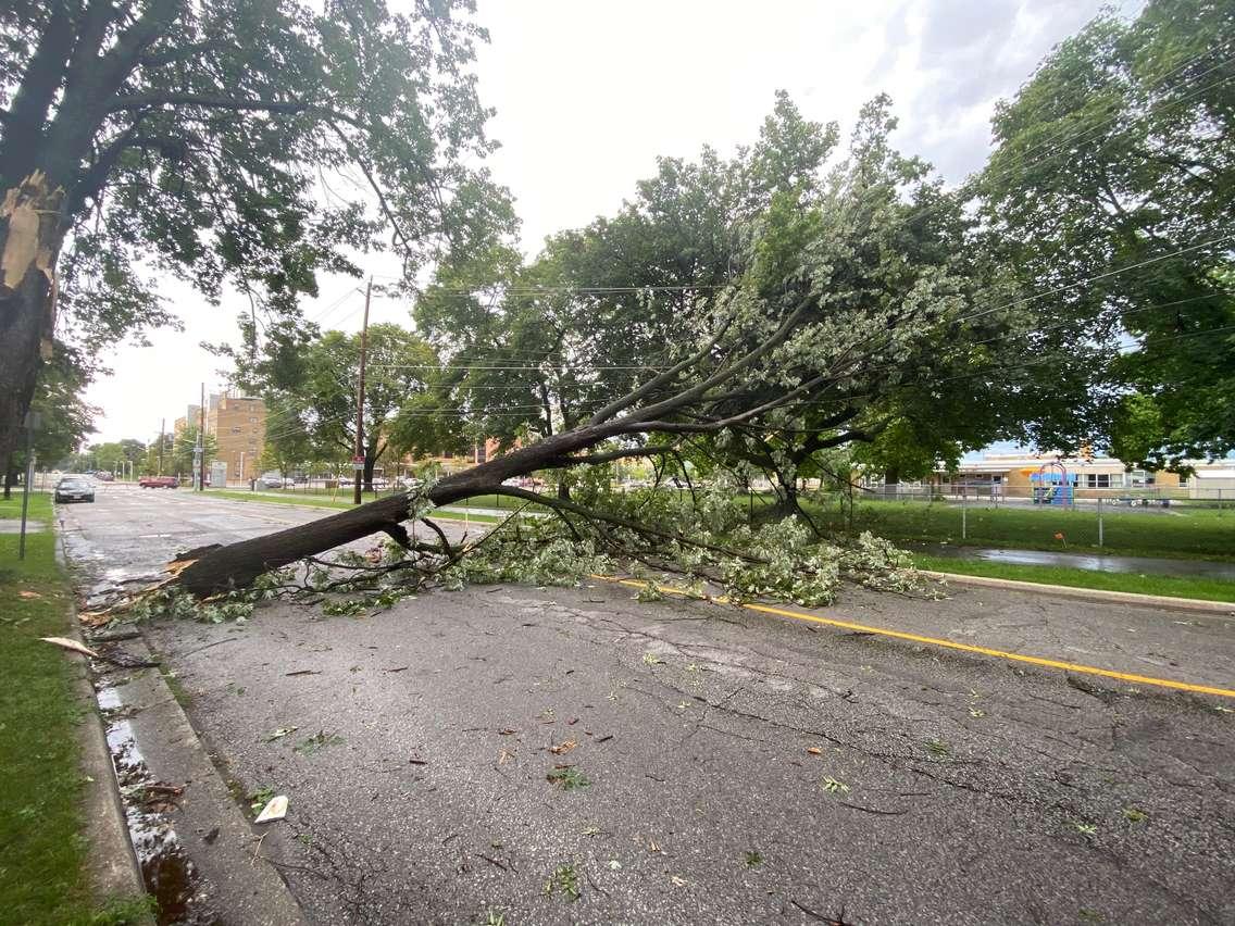 A downed tree blocks part of Russell Street in Sarnia. July 20, 2023. Photo by Melanie Irwin, Blackburn Media. 