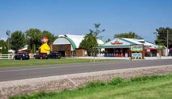 Korny Korners Adventure Farm in Sarnia. (Photo Courtesy of Lucas Kita)