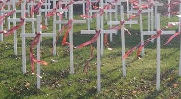 MADD white crosses. (BlackburnNews.com File Photo by Briana Carnegie)