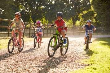 Kids bikes in stock sale