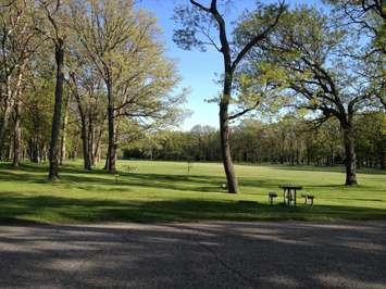 Canatara Park, May 15, 2015 (BlackburnNews.com Photo by Briana Carnegie)