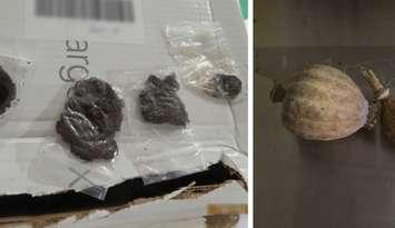 Suspected opium pods and heroin seized at Blue Water Bridge on December 30, 2024. (Photo courtesy of Canada Border Services Agency, Southern Ontario Region via X)