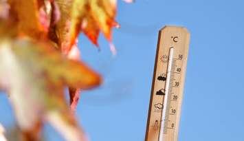 Warm fall photo by Csaba Toth. iStock / Getty Images Plus