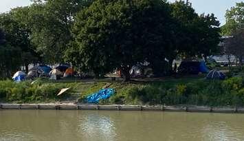 A homeless encampment at Mike Ordon Park on Thames Street in Chatham. August 2024. (Photo by Matt Weverink)