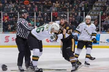 Sarnia Sting defenceman Kevin Spinozzi (in black) tussles with London Knights defenceman Chris Martenet during the Knight's 5-3 win over Sarnia at Progressive Auto Sales Arena on Jan 1, 2017 (Photo courtesy of Metcalfe Photography)