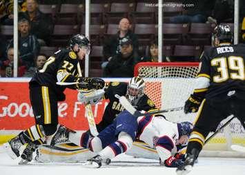 The Sarnia Sting vs. Saginaw Spirit - March 29, 2019 (Photo courtesy of Metcalfe Photography)