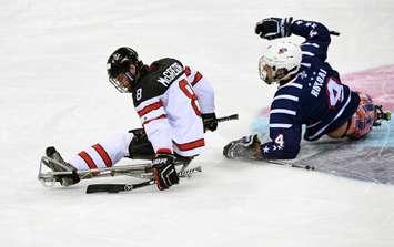 Forest's Tyler McGregor with Canada at the 2017 Para Hockey Championship. (photo by Seokyong Lee)