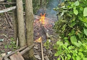 Fire on the Howard Watson Nature Trail. July 29, 2024. (Photo courtesy of Sarnia Police Service)