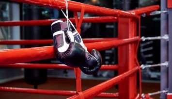 Boxing Ring -  ViktoriiaNovokhatska - iStock / Getty Images Plus