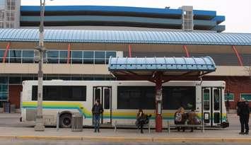 Windsor Transit Terminal, February 8th 2016, (Photo by Jess Craymer)