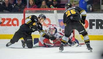 Windsor Spitfires at Sarnia Sting, February 21, 2025. Photo by Metcalfe Photography. 