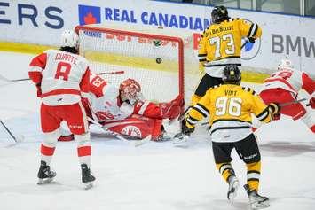 Sarnia Sting against Sault Ste. Marie Greyhounds on Friday, March 10, 2023. (Photo courtesy of Metcalfe Photography)