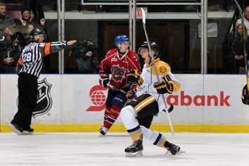 The Sarnia Sting celebrate a goal. Oct. 9, 2015. (Photo courtesy of Metcalfe Photography)