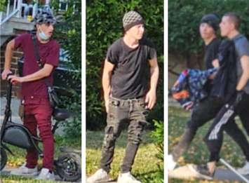 Surveillance images of three suspects wanted in an assault in Windsor, September 18, 2024. Photos provided by Windsor Police Service/X.