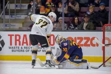 Sarnia Sting Forward Kaeden Johnston (Photo courtesy of Metcalfe Photography)