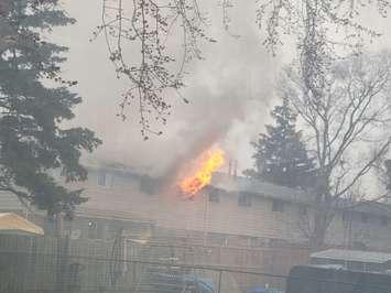Photo supplied by Sarnia News Today.ca.