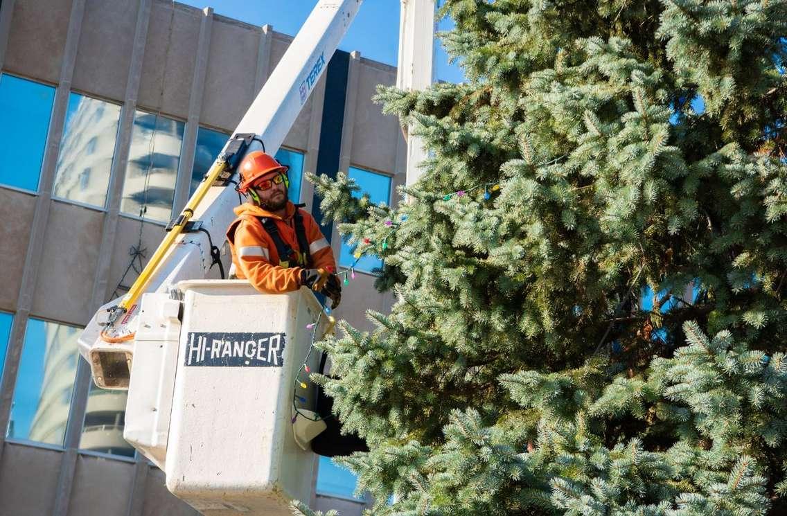 The City Hall Christmas tree. November 22, 2022. (Photo courtesy of the City of Sarnia via Twitter)