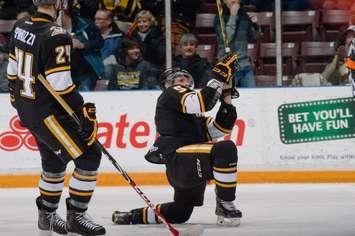 Jakob Chychrun celebrates his goal that helped secure a 5-3 win over Guelph Jan 10, 2015 (Photo courtesy of Metcalfe Photography)