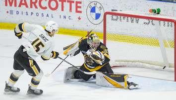 Sarnia Sting vs. Brantford Bulldogs, December 1, 2023 (Image courtesy of Metcalfe Photography)