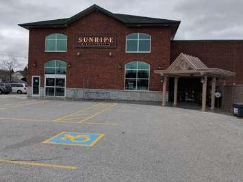 Sunripe ( Blackburn News file photo)