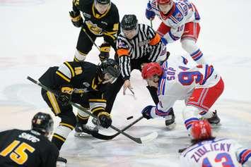 Kitchener Rangers at Sarnia Sting, March 6, 2022.   (Metcalfe Photography)