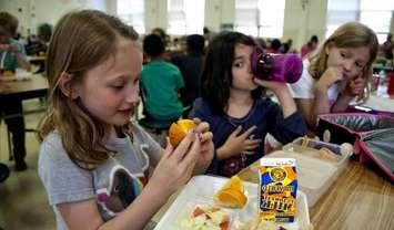 Three young students eating lunch. (Photo by Amanda Mills from Pixnio)