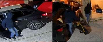 Break and enter suspects (Images courtesy of the Sarnia Police Service)
