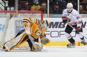 Sarnia Sting goalie Aidan Hughes controls a puck as Owen Sound Attack winger Maksim Sushko looks on at Progressive Auto Sales Arena in Sarnia on March 12, 2017 (Photo by Metcalfe Photography)