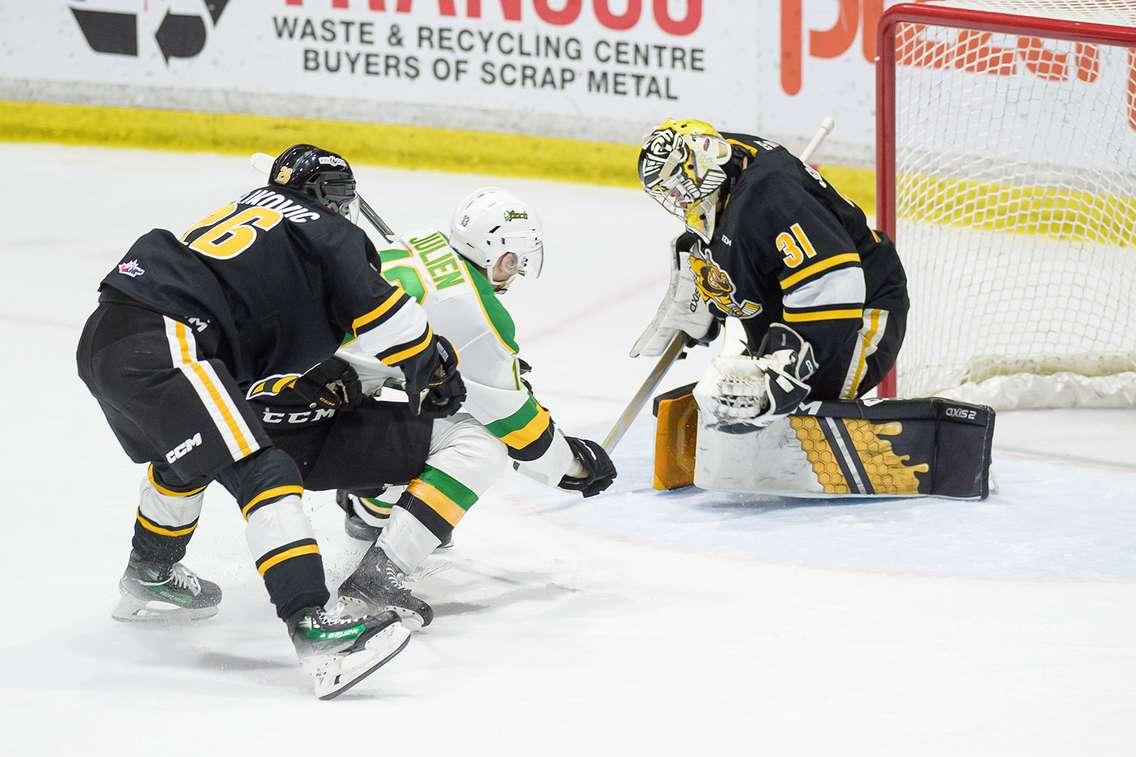 London Knights at Sarnia Sting January 10, 2024.  Photo by Metcalfe Photography. 