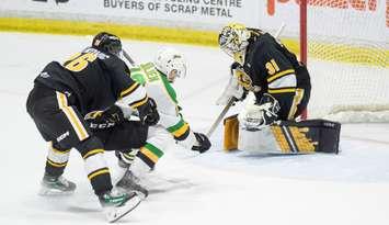 London Knights at Sarnia Sting January 10, 2024.  Photo by Metcalfe Photography. 