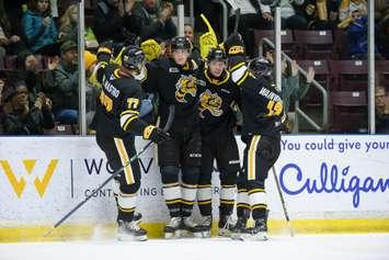 The Sarnia Sting taking on the Flint Firebirds. 20 February 2023. (Metcalfe Photography)