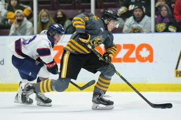 Sarnia Sting vs. Saginaw. November 5, 2021. (Photo courtesy of Metcalfe Photography)