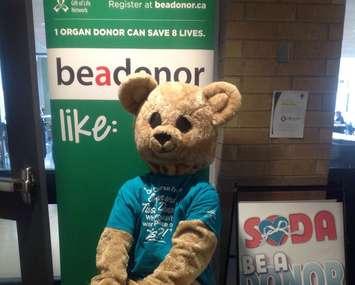 Sarnia Organ Donor Awareness Group, photo via  Facebook. 