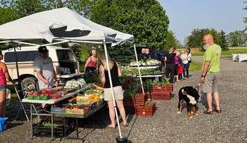 Local Roots Farmers Market in Camlachie. June 3, 2025 (Photo courtesy of Ferguson Estates via Facebook)