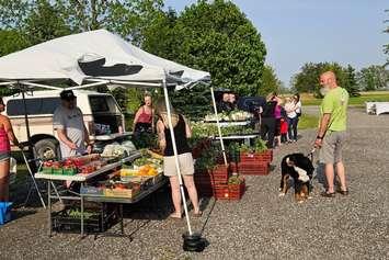 Local Roots Farmers Market in Camlachie. June 3, 2025 (Photo courtesy of Ferguson Estates via Facebook)