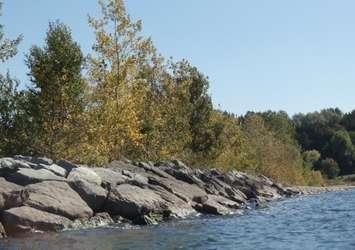 Lake Huron shoreline