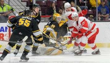 Soo Greyhounds at Sarnia Sting, March 14, 2025. Photo by Metcalfe Photography. 