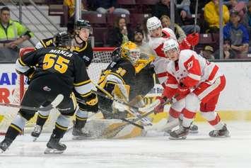 Soo Greyhounds at Sarnia Sting, March 14, 2025. Photo by Metcalfe Photography. 