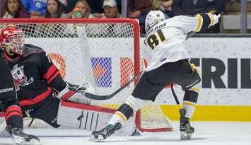 The Sarnia Sting's Beckham Edwards takes a shot against Niagara - Oct. 25/24 (Photo courtesy of Metcalfe Photography)