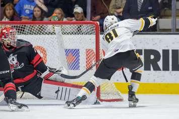 The Sarnia Sting's Beckham Edwards takes a shot against Niagara - Oct. 25/24 (Photo courtesy of Metcalfe Photography)