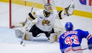 Kitchener Rangers at Sarnia Sting, December 18, 2024. Photo by Metcalfe Photography. 