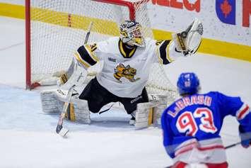 Kitchener Rangers at Sarnia Sting, December 18, 2024. Photo by Metcalfe Photography. 